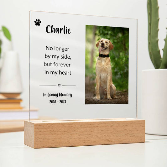 Acrylic Pet Memorial Gift (Black Text) | Pet Loss Gift | Cat Loss Gift | Dog Loss Gift | Pet Bereavement Gift | Pet Sympathy Gift | Pet Portrait