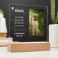 Pet Memorial Gift (White Text) | Pet Loss Gift | Dog Loss Gift | Cat Loss Gift | Pet Bereavement Gift | Pet Sympathy Gift