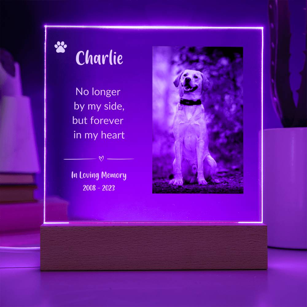 Pet Memorial Gift (White Text) | Pet Loss Gift | Dog Loss Gift | Cat Loss Gift | Pet Bereavement Gift | Pet Sympathy Gift