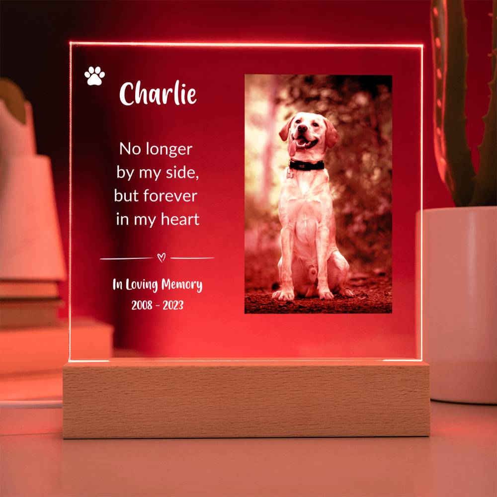 Pet Memorial Gift (White Text) | Pet Loss Gift | Dog Loss Gift | Cat Loss Gift | Pet Bereavement Gift | Pet Sympathy Gift