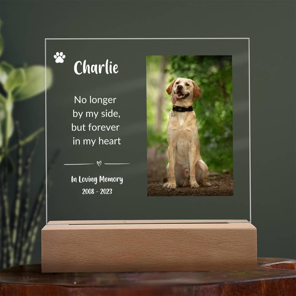 Pet Memorial Gift (White Text) | Pet Loss Gift | Dog Loss Gift | Cat Loss Gift | Pet Bereavement Gift | Pet Sympathy Gift